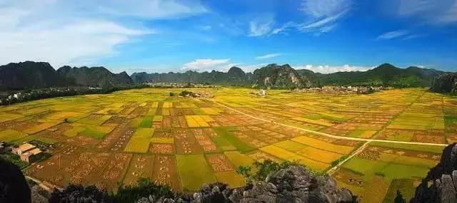 中國(guó)經(jīng)濟(jì)體制改革基金會(huì)全國(guó)第一！中國(guó)改革熱度第三方評(píng)估出爐，云浮宣傳系數(shù)在全國(guó)343個(gè)城市居首位                             