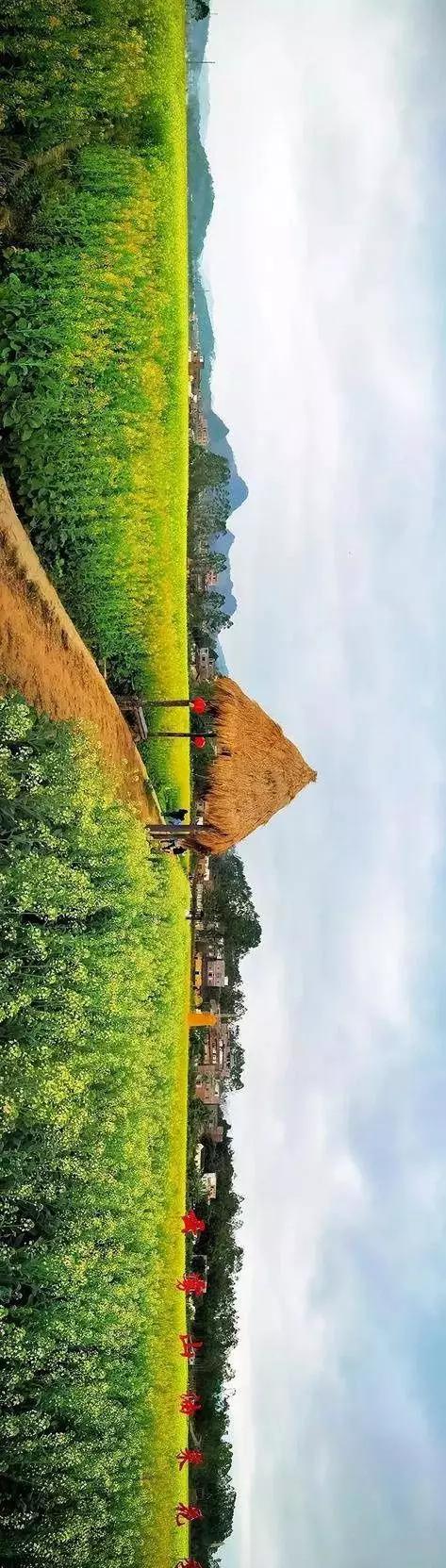 中國(guó)經(jīng)濟(jì)體制改革基金會(huì)全國(guó)第一！中國(guó)改革熱度第三方評(píng)估出爐，云浮宣傳系數(shù)在全國(guó)343個(gè)城市居首位                             